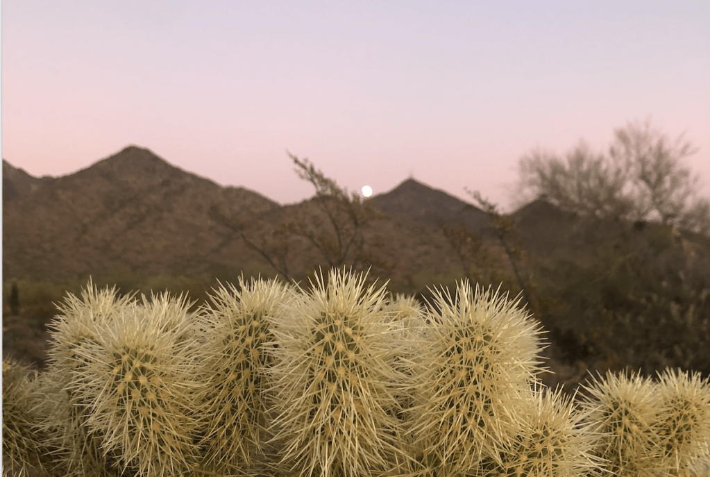 From a Moonlit&nbsp;Run