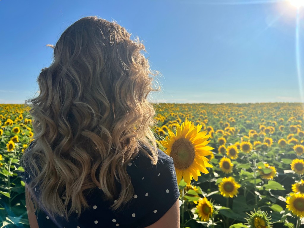 Social Media and&nbsp;Sabbaths