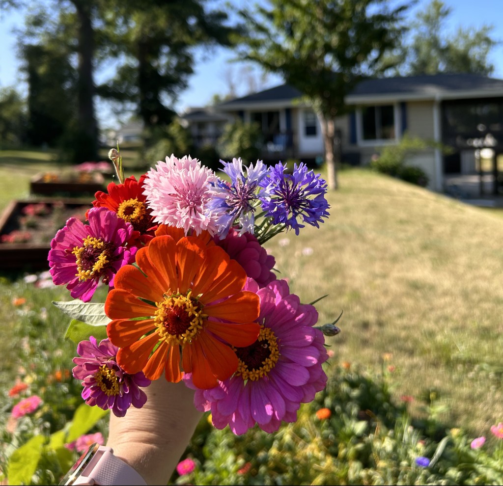 Not a Laser, a Light: Reflecting on&nbsp;Encouragement