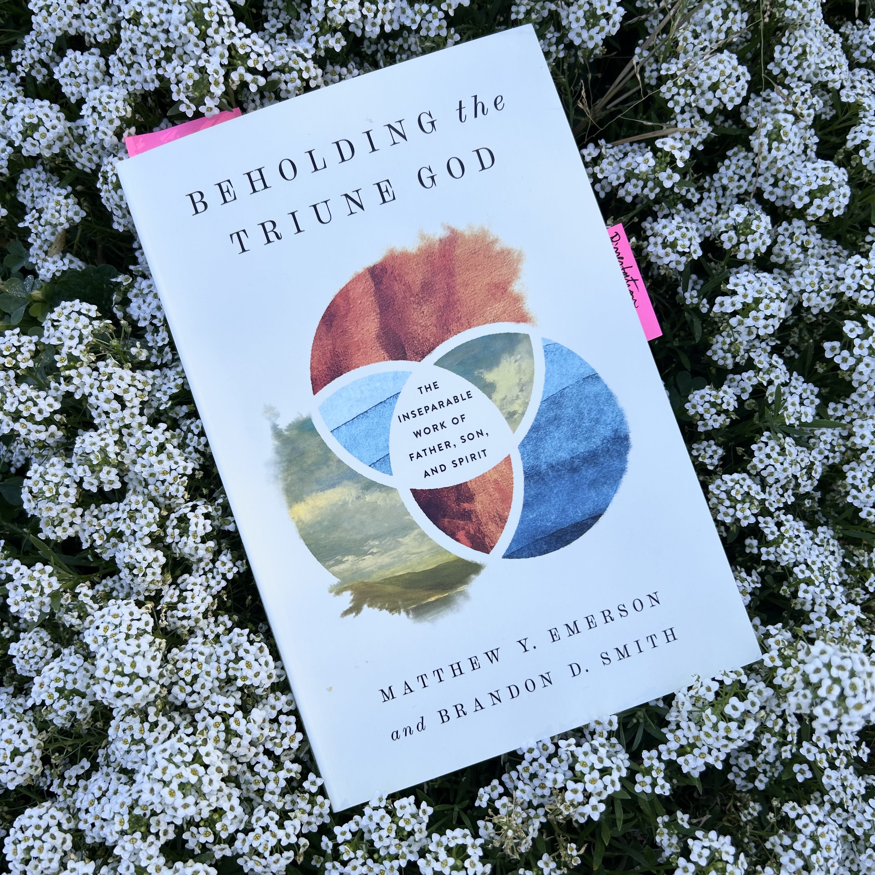 Book Review: Beholding the Triune God (Emerson and Smith) – Ryanne Molinari