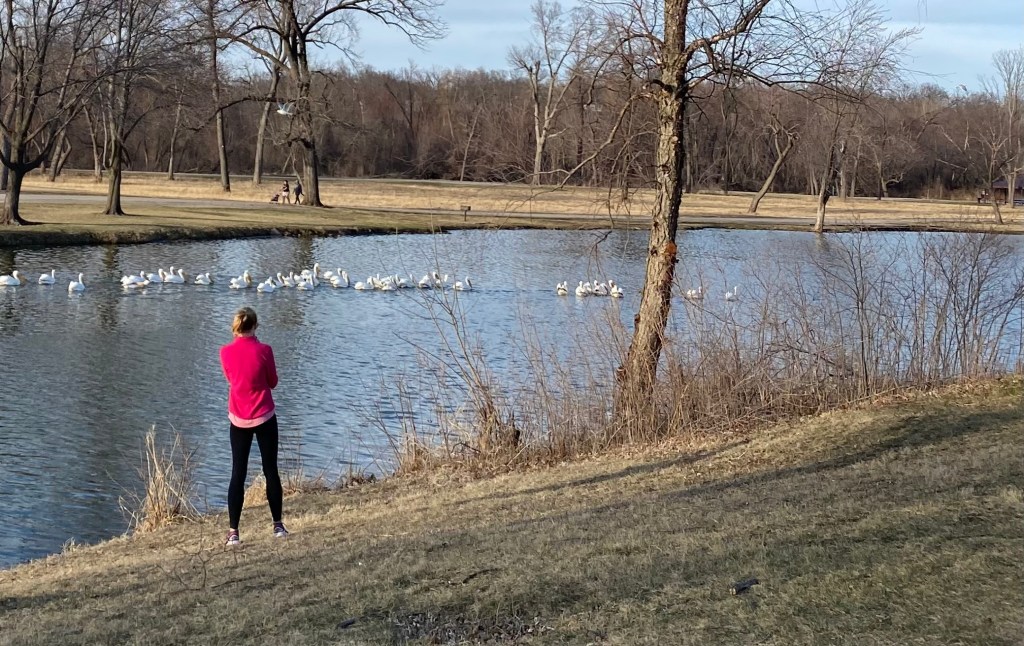 For Narnia and for Aslan: Reclaiming Running as&nbsp;Play