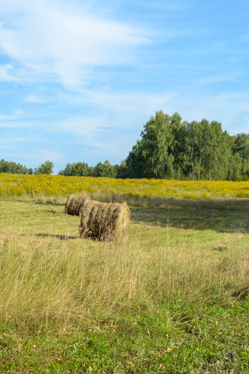 Last Things First: August-September